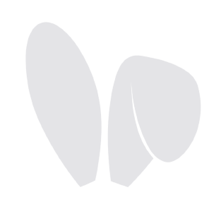 Friend Tech logo